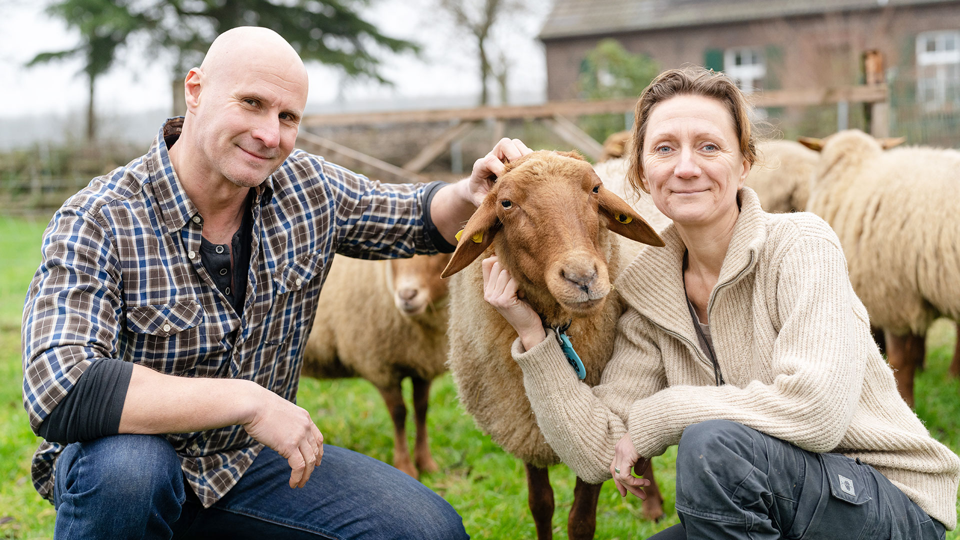 sagamedia - News - WDR - Unsere eigene Farm