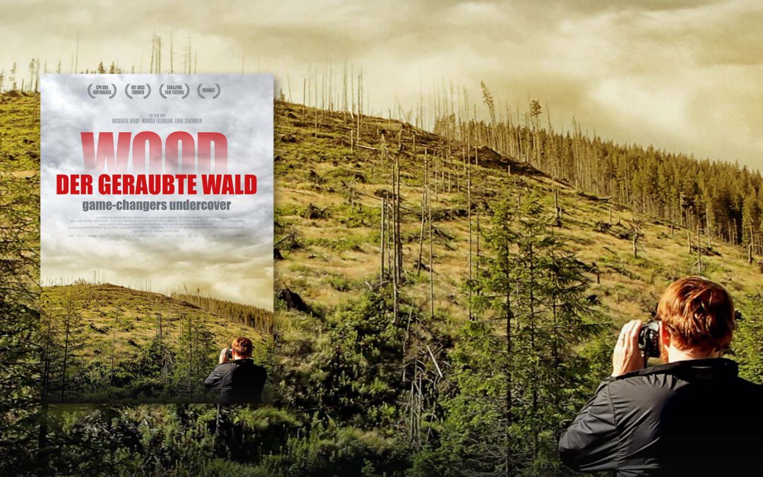 Umweltthriller: Wood – Der geraubte Wald