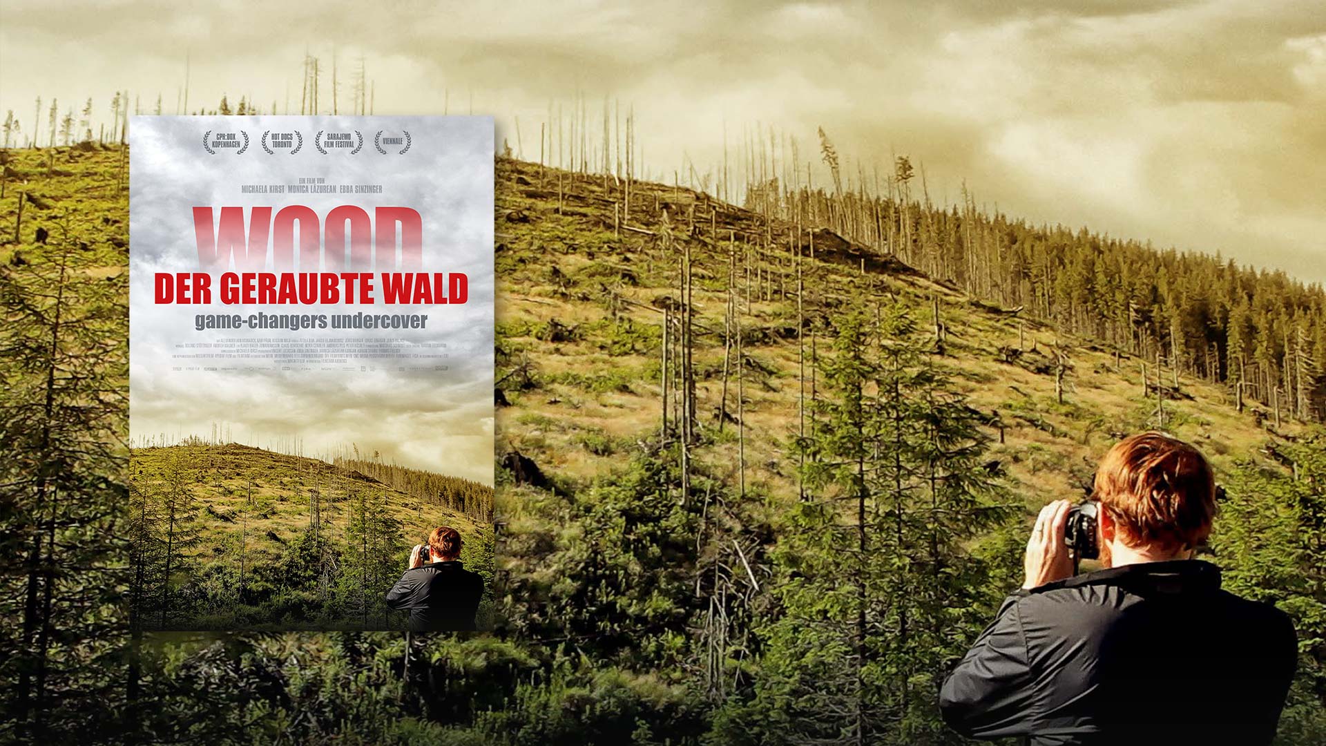 sagamedia - News - Kinofilm "Wood - Der geraubte Wald"