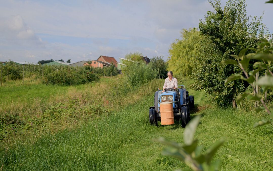 Apfelwiesen und Wildnis: Das Alte Land an der Elbe