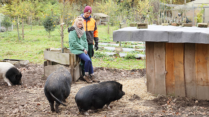 sagamedia - Dokuserien - WDR - Unsere eigene Farm - Folge 6