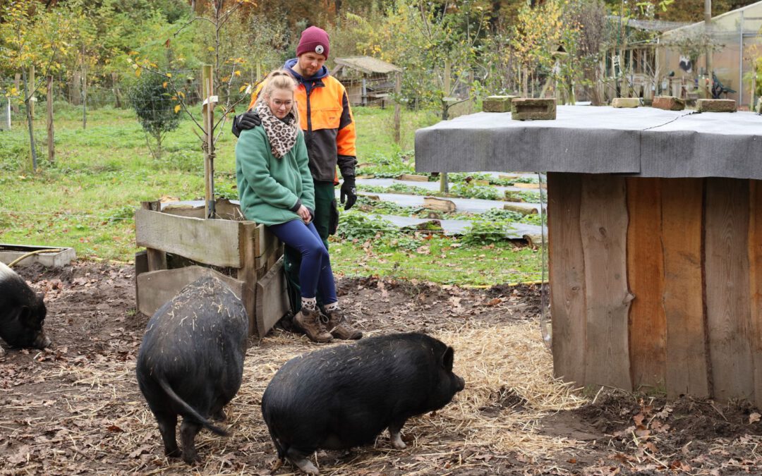 „Unsere eigene Farm“ in der langen Version