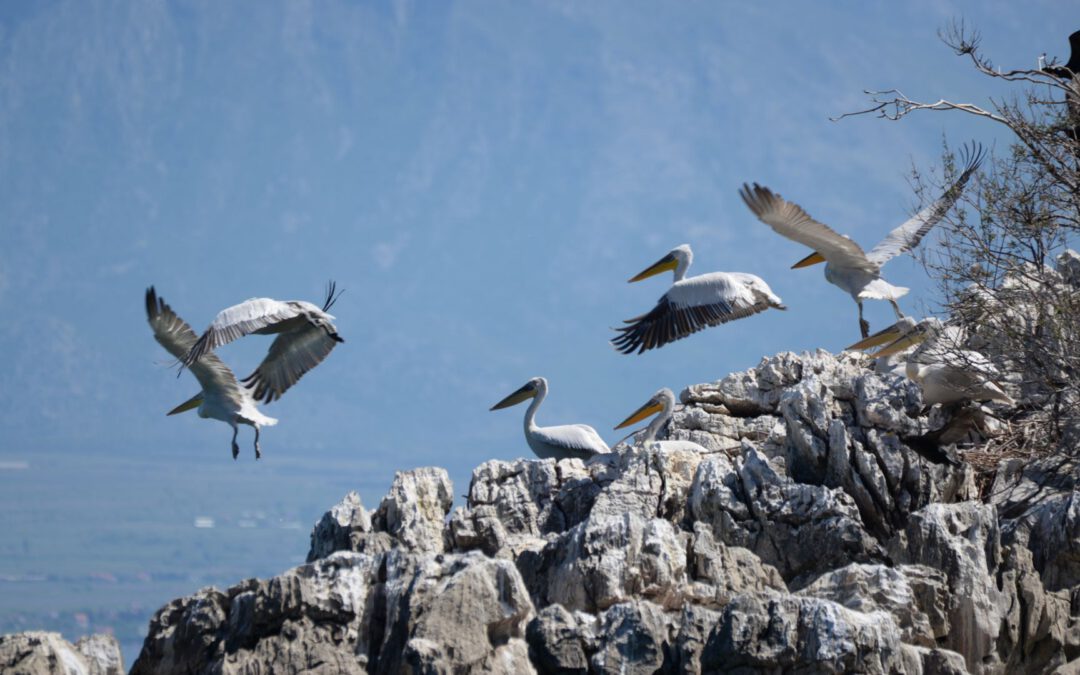 …und wilde Natur Dokuserie (Arte)