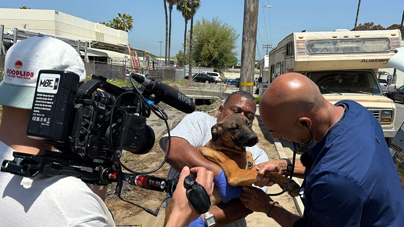 sagamedia - Magazine - Life sagamedia - Magazine - Life