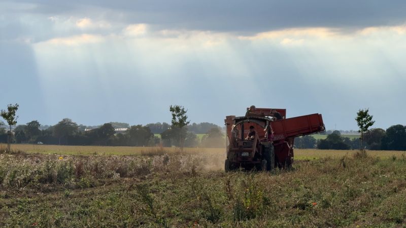 Kartoffelernte bei Cindy und Helmut in der Soester Börde sagamedia - Dokuserien - WDR - Unsere eigene Farm - Folge 1