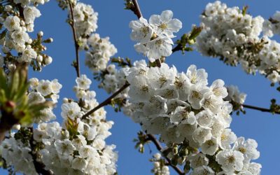 Staffel 2 unserer Naturjahr-Doku (Arte)